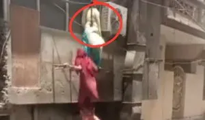 Punjab Hotel Women Theft Attempt (Image- Social Media)