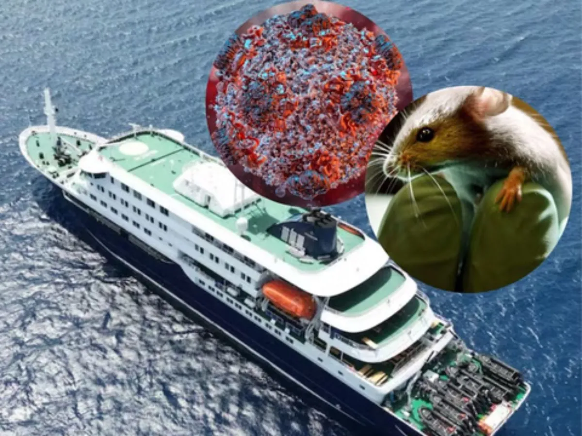 Hantavirus kya hai?
