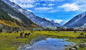 Camping ke Liye Best Place