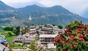 Low-cost foreign trips