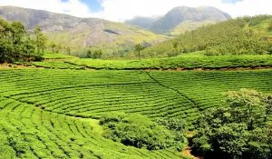 Best Valley Views in Monsoon