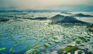 Beautiful Lakes in India to Visit in Monsoon