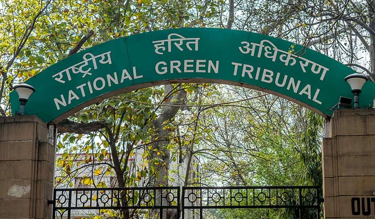 Delhi News : प्रदूषण शिकायत मामले में NGT संतुष्ट, DPCC को दो माह में कार्रवाई पूरी करने का निर्देश