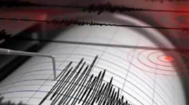 Earthquake In Himachal Pradesh (Source: Social Media)