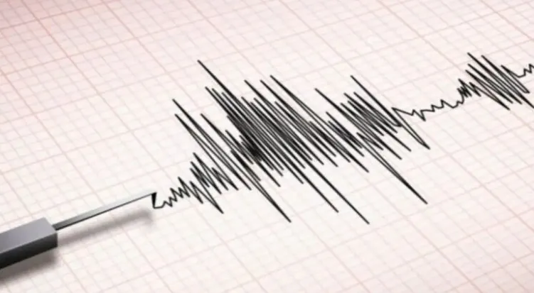 Earthquake In Himachal Pradesh (Source: Social Media)