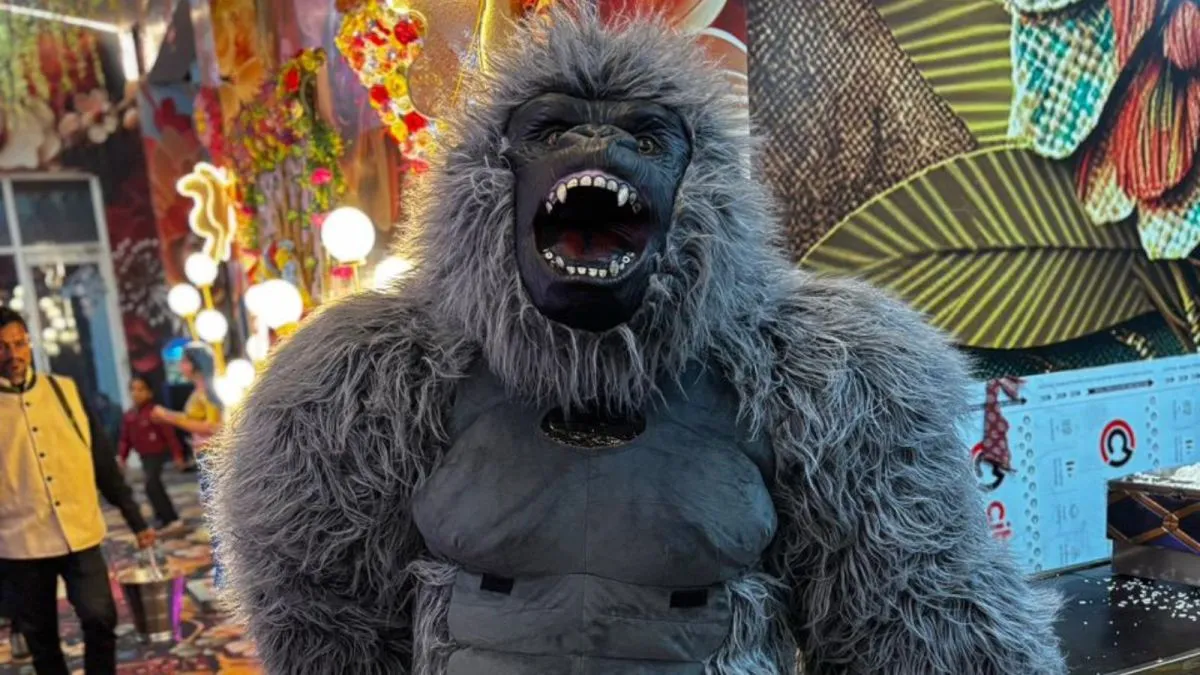 Gorilla Dance India
