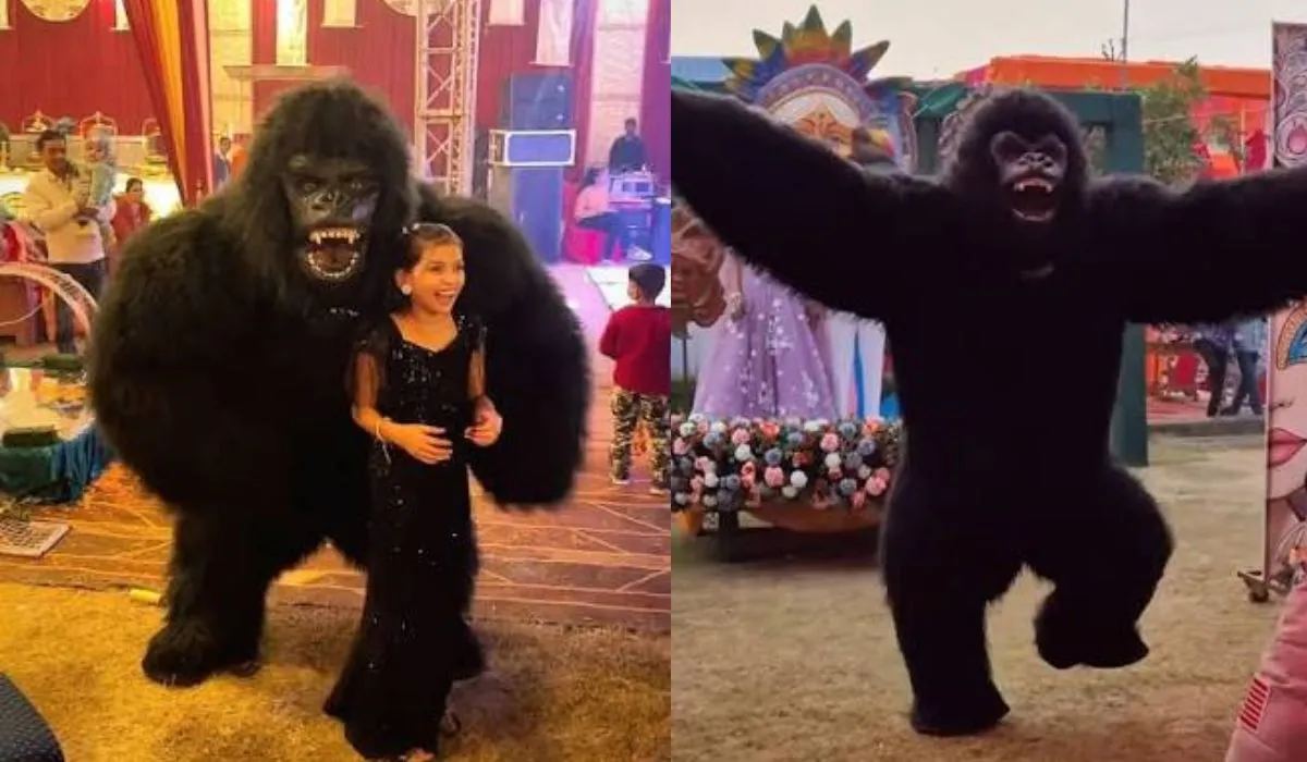 Gorilla Dance India