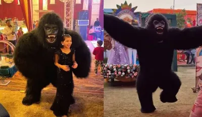 Gorilla Dance India