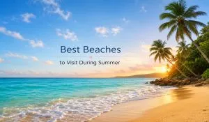 Best Beaches to Visit During Summer