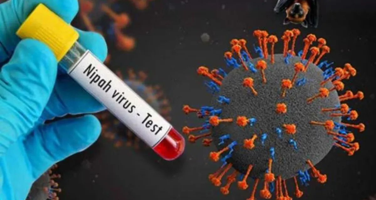 Kerala Nipah Virus Cases