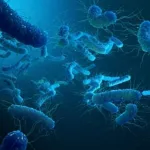 Kerala Shigella Outbreak