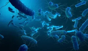 Kerala Shigella Outbreak