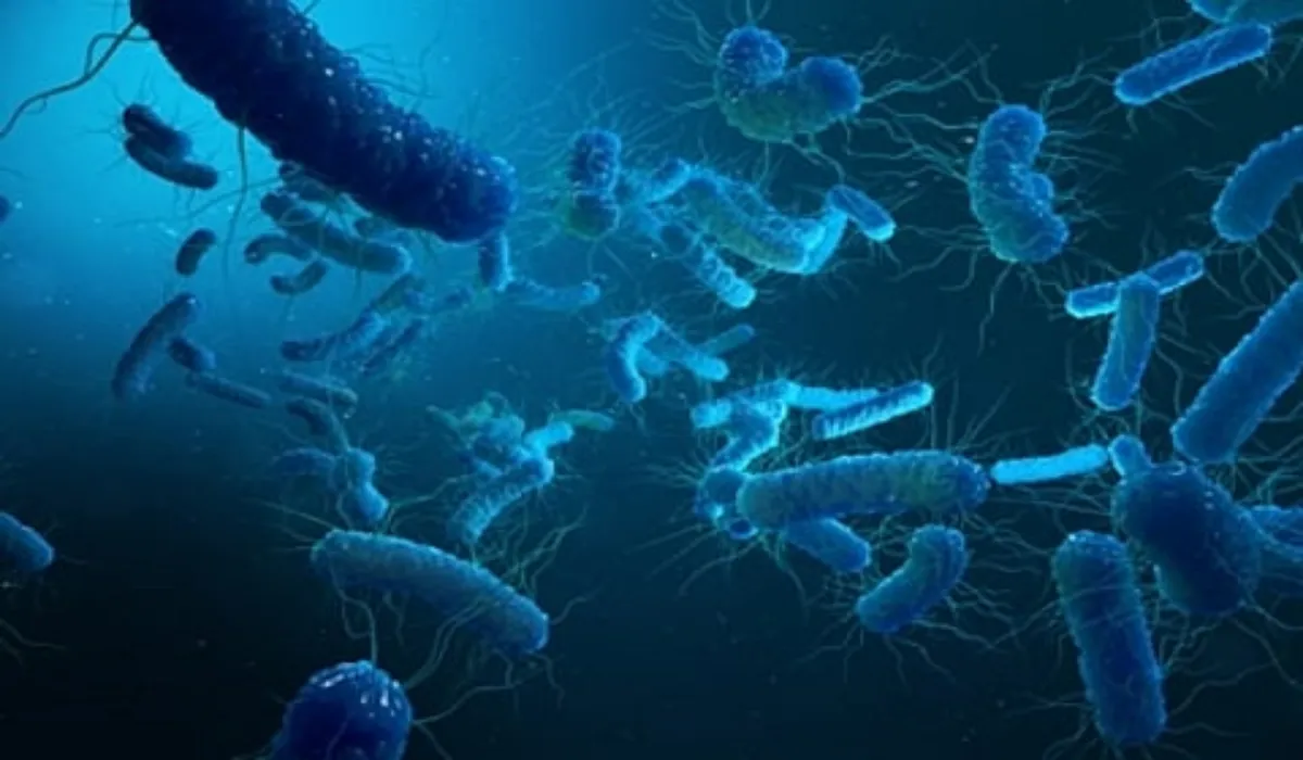 Kerala Shigella Outbreak