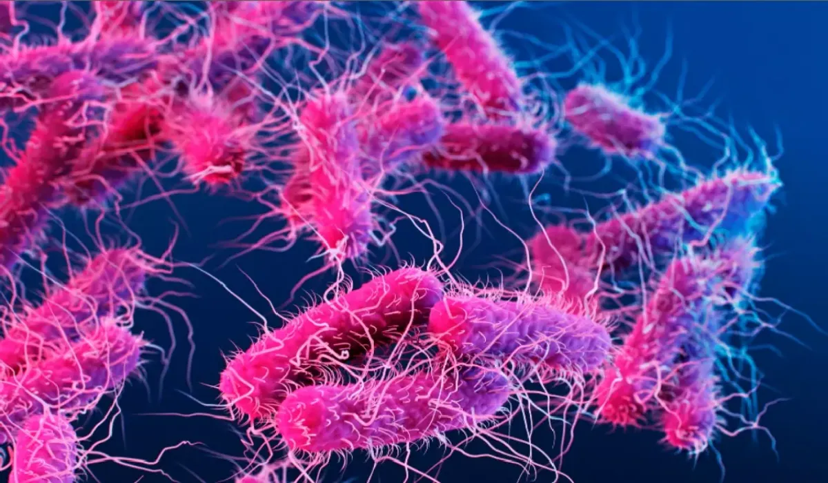 Shigella Infection in Kerala