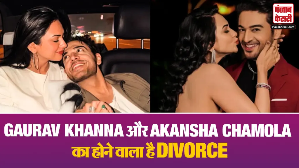 Gaurav Khanna And Akansha Chamola Divorce