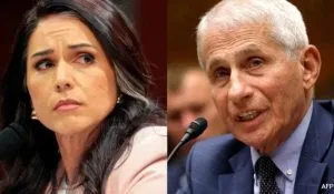 Tulsi Gabbard Fauci Wuhan Lab Claim (credit S-M)