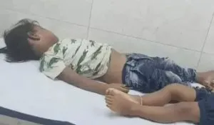 Panipat Godown Roof Collapse (credit social media)