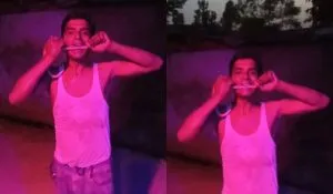Dead Snake Stunt Viral Video (credit social media )