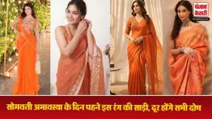 Somvati Amavasya Saree Designs: सोमवती अमावस्या के दिन पहने इस रंग की साड़ी, दूर होंगे सभी दोष