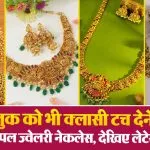 Temple Jewellery Necklace Designs( Source: Social Media)