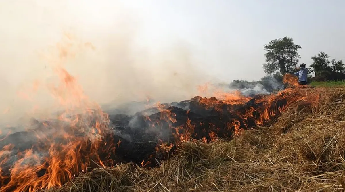 Delhi : पराली रोकने के लिए जागरूकता नहीं; सही समय पर सही संवाद जरूरी...',जानें CEEW के नए अध्ययन में और क्या पता चला?
