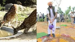 Delhi : वन्यजीवों के लिए 218 जलस्रोत(वाटर होल) विकसित, सिरसा बोले - "उद्देश्य क्षतिग्रस्त भू-खंडों को वन पारिस्थितिकी तंत्र में परिवर्तित करना"
