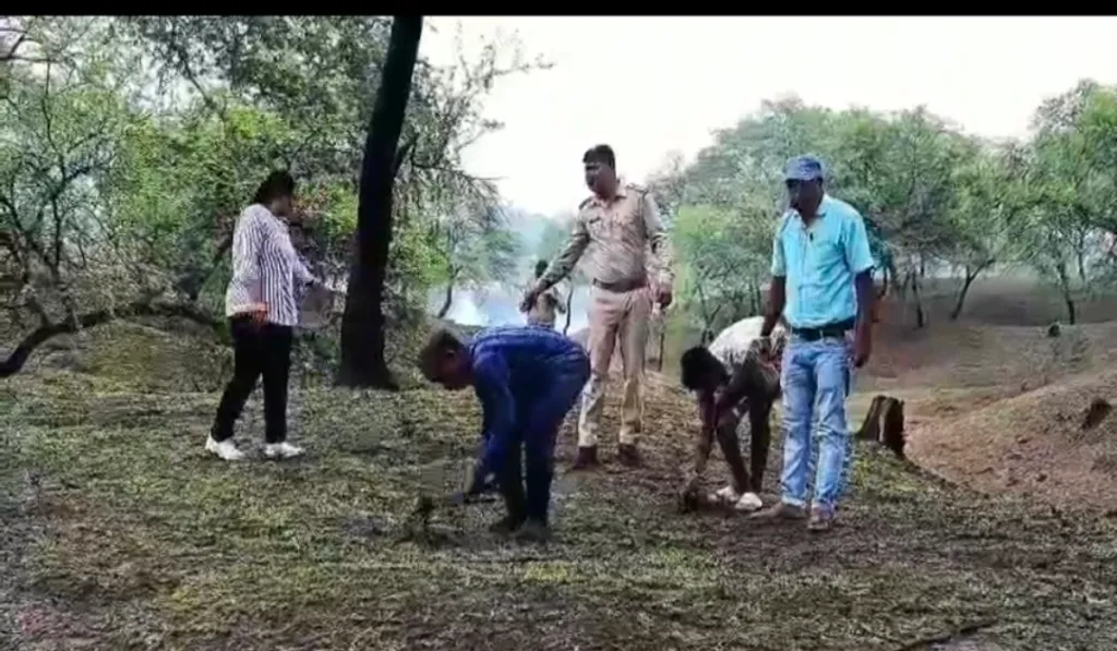 Balodabazar Forest Division