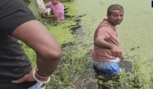 Baruipur Rape Murder Case