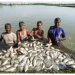 Bihar Fish Farming Subsidy 2026
