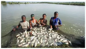 Bihar Fish Farming Subsidy 2026