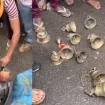 Budheshwar Mandir Theft: