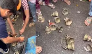 Budheshwar Mandir Theft: