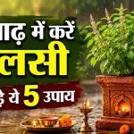 Ashadh Maas Me Tulsi Ke Upay