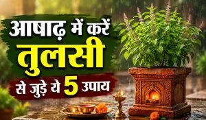 Ashadh Maas Me Tulsi Ke Upay