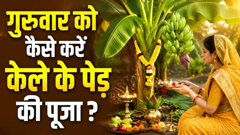 Thursday ko Kele ke Ped ki Puja Kaise Kare