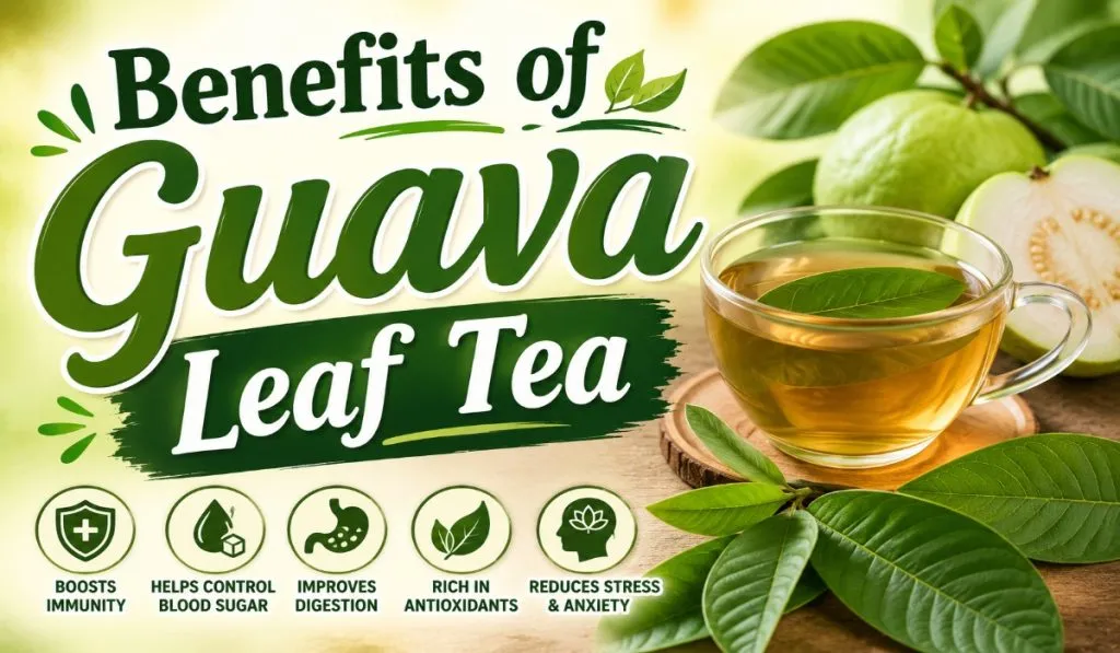 Benefits of Guava Leaf Tea