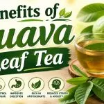 Benefits of Guava Leaf Tea
