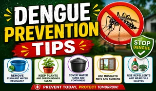 Dengue Prevention Tips