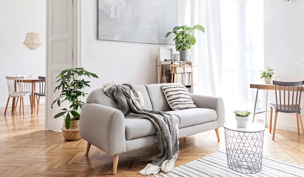 Monsoon Home Cleaning Tips