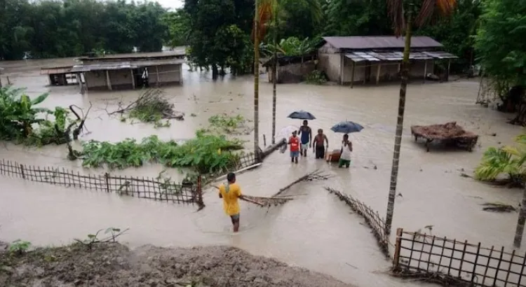 Assam Floods (Source: Social Media)