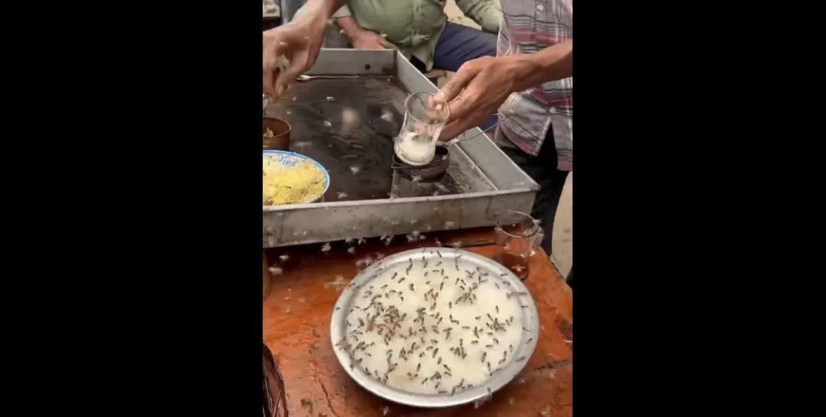 Roadside Tea Viral Video