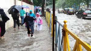 Maharashtra Heavy Rain (Source: Social Media)