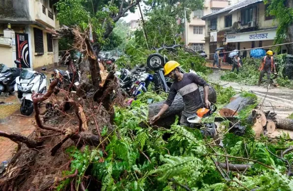Maharashtra Heavy Rain (Source: Social Media)