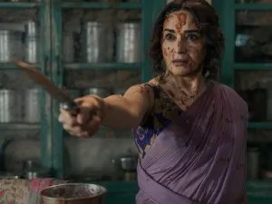 Madhuri Dixit Cheap Role Troll