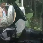 Nagaland IED Blast