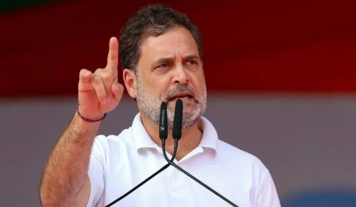 Rahul Gandhi on Delhi University