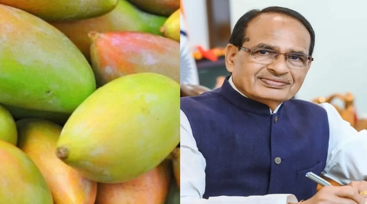 Shivraj Singh : तोतापुरी आम के किसानों को केंद्र की बड़ी राहत, शिवराज सिंह चौहान ने गठित की विशेषज्ञ समिति