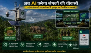 Udanti-Sitanadi Tiger Reserve AI Surveillance
