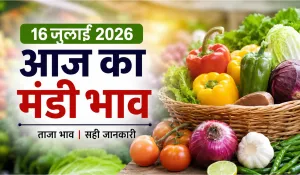 Aaj Ka Mandi Bhav 16 July