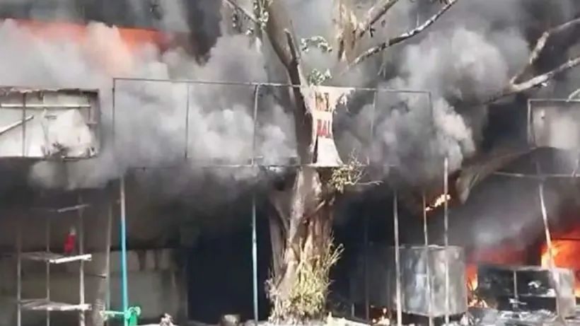 Janakpuri Sub-Registrar office Fire (credit: social media )